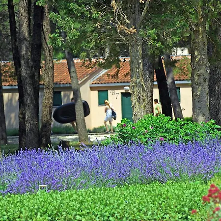 Zaton Holiday Resort.1 宁
